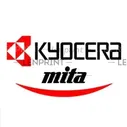 Оригинальный девелопер Kyocera Mita DV-5230Y